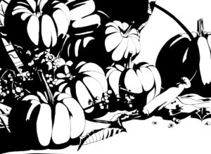 Citrouilles_sans_demi_teintes_Olivier