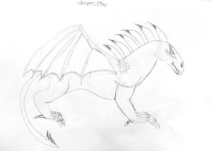 Dragon_05
