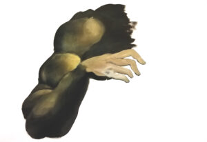 Essai_couleur_pour_carnation_1