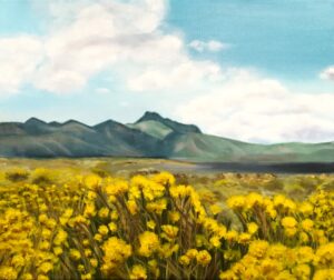 Lagune_aux_fleurs_jaunes