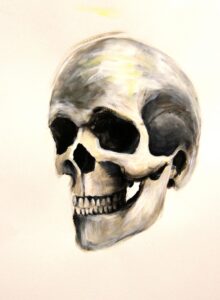 crâne-étude-2