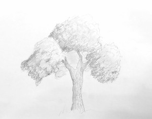 Arbre 04