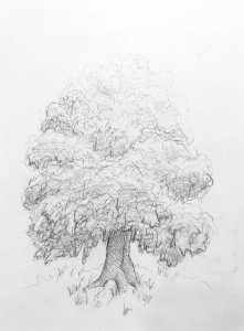 Arbre 05