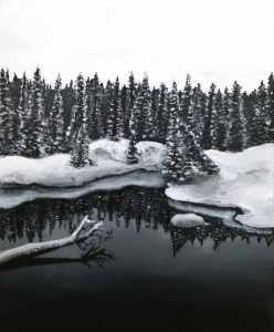 Sapins enneiges au bord du lac